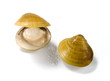 Clams