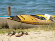 Slippers and kayak
