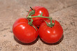 tomates