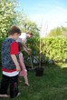 gartenarbeit