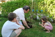 Baum pflanzen