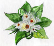 bouquet_watercolor