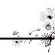 Floraisons