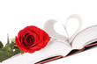 Beautiful red rose on the book