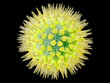 Virus