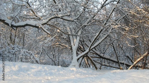 photo par Pavel Losevsky