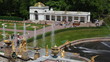 fountains, wide view from Royal Petrodvorets, Saint Petersburg