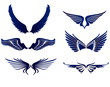 Wing