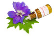 Homöopathie
