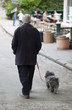 Foto: retraite et promenade avec son chien retraite et promenade avec son chien