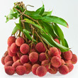 bouquet de letchis, litchis, letchees bouquet de letchis, litchis, letchees