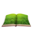 Magic book concept with green grass isolated