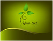 Background of green leaves curl