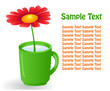 Red flower in green cup