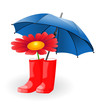 Umbrella and flower in rubber boots