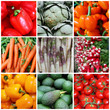 Composition 9 légumes