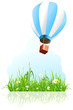 Green grass