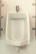 toilet men's room