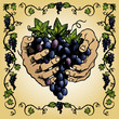 Grapevine Border