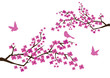 vector plum blossom with birds