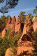 Le Sentier des Ocres à Roussillon en Provence Le Sentier des Ocres à Roussillon en Provence