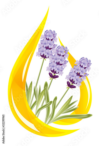 Vector: A drop of lavender essential oil. Vector illustration. A drop of lavender essential oil. Vector illustration.