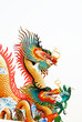 dragon's family