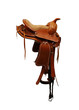 saddle saddle
