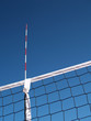 Grid and antenna