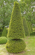 Gartengestaltung Gartengestaltung