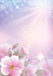flowers over violet background flowers over violet background