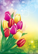 Bunch of tulips over color background Bunch of tulips over color background