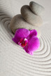 Zen Stone Zen Stone