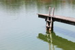 Foto: Holzsteg im See Holzsteg im See