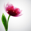 Sfondo con fiore trasparente - Transparent flower background