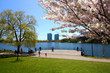 A Beautiful Day in High Park