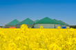 Biogasanlage hinter einem Rapsfeld