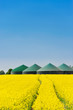 Biogasanlage hinter einem Rapsfeld 4