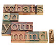 What is on you mind?