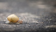 Dieser Weg_2