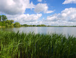 Foto: Uferlandschaft Uferlandschaft