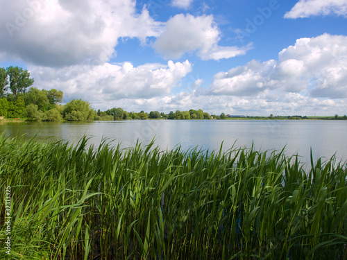 Foto: Uferlandschaft Uferlandschaft