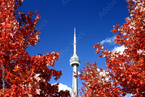 Photo: CN Tower and the Fall Colors CN Tower and the Fall Colors