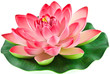 fleur artificielle nénuphar rose