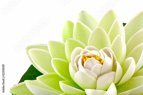 Photo: fleur artificielle nénuphar blanc fleur artificielle nénuphar blanc