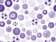 sport balls seamless pattern