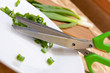 culinary scissors for chopping greens culinary scissors for chopping greens