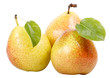 Pere di stagione