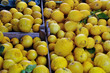 lemons in crates background lemons in crates background