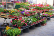 Marché aux Fleurs